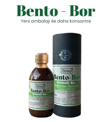 Bento – Bor
