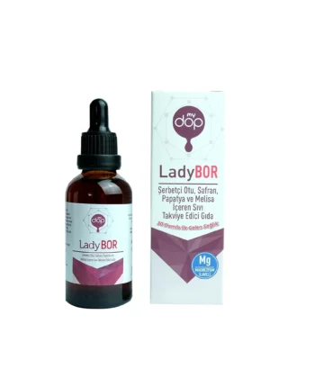 Ladybor