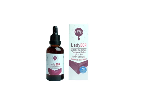 Ladybor